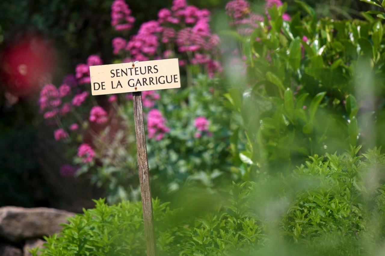 Maison De Village La Clemaline Figanières 외부 사진