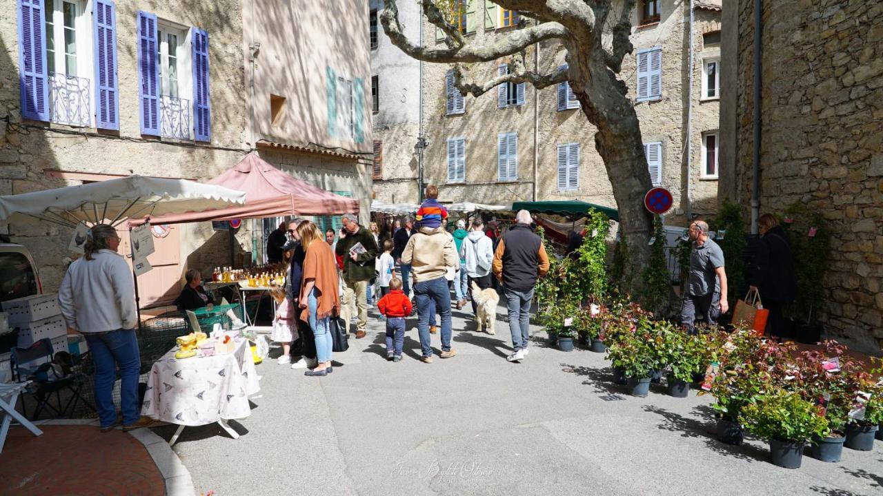 Maison De Village La Clemaline Figanières 외부 사진